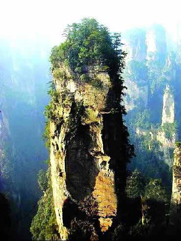 張家界國家地質(zhì)森林公園、黃石寨、金鞭溪休閑一日游